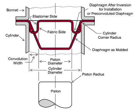Diaphragm convolution