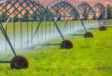 Irrigation