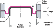 Piston and Standard Convolution Width Dimensions